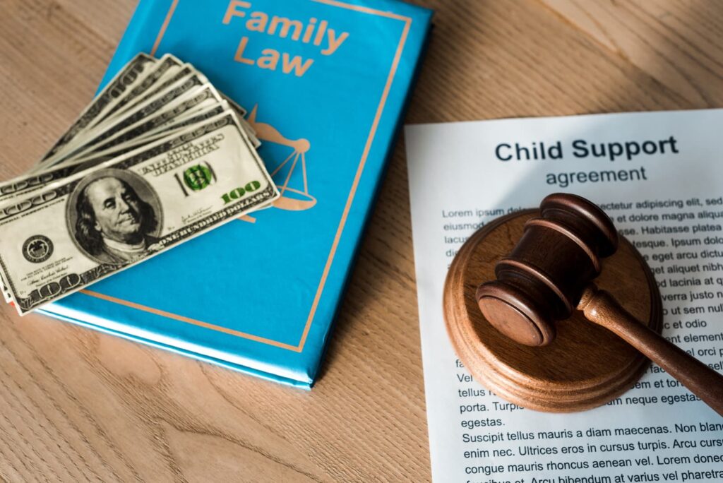 Image of Child Support Lawsuit Process in the United States